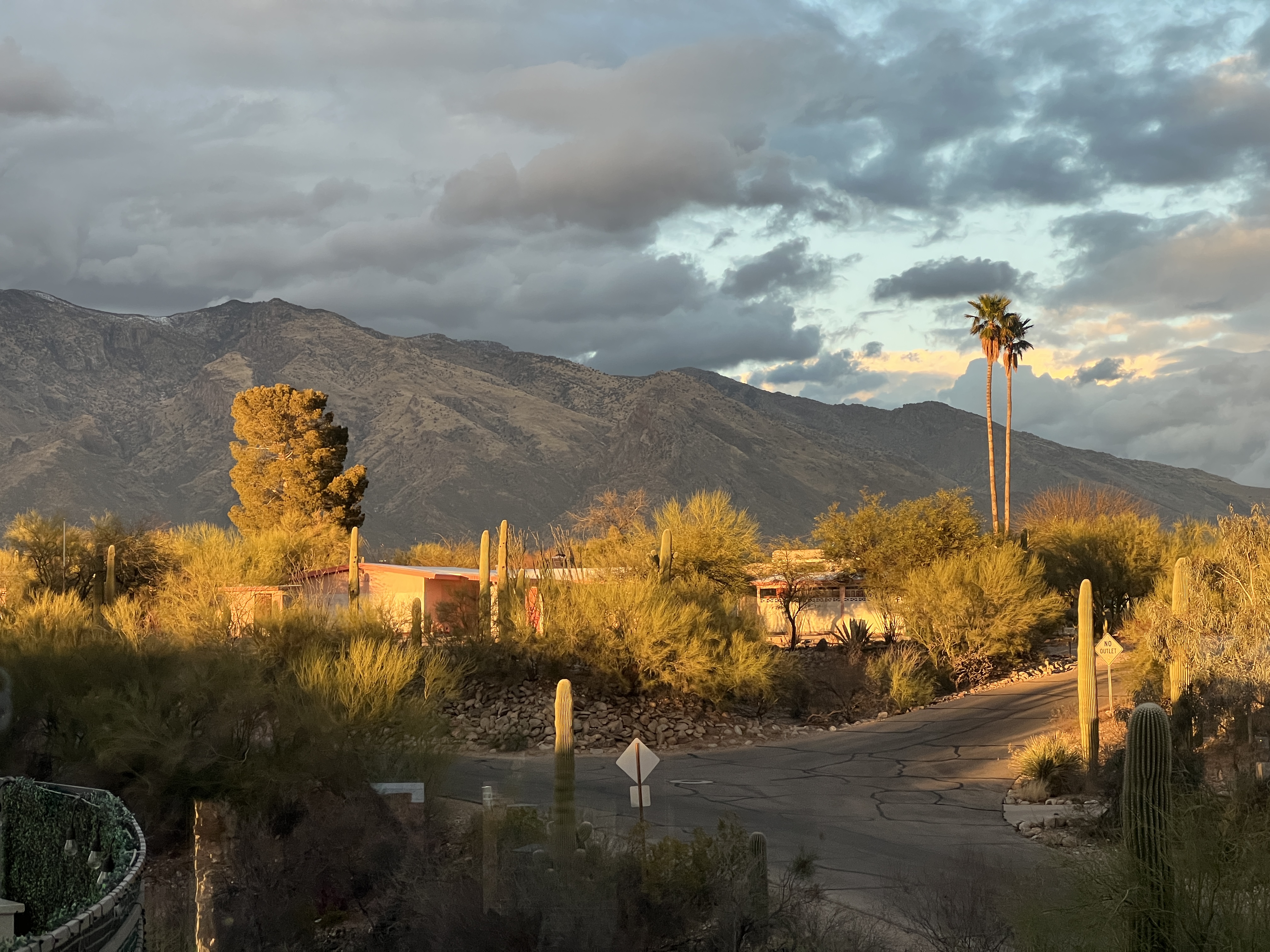 <a href="https://oraclefoothills.neighborhood.online/about/resources">Resources</a> 6fa403ba-33a5-49a1-a4cd-59bccfb1964f.jpg