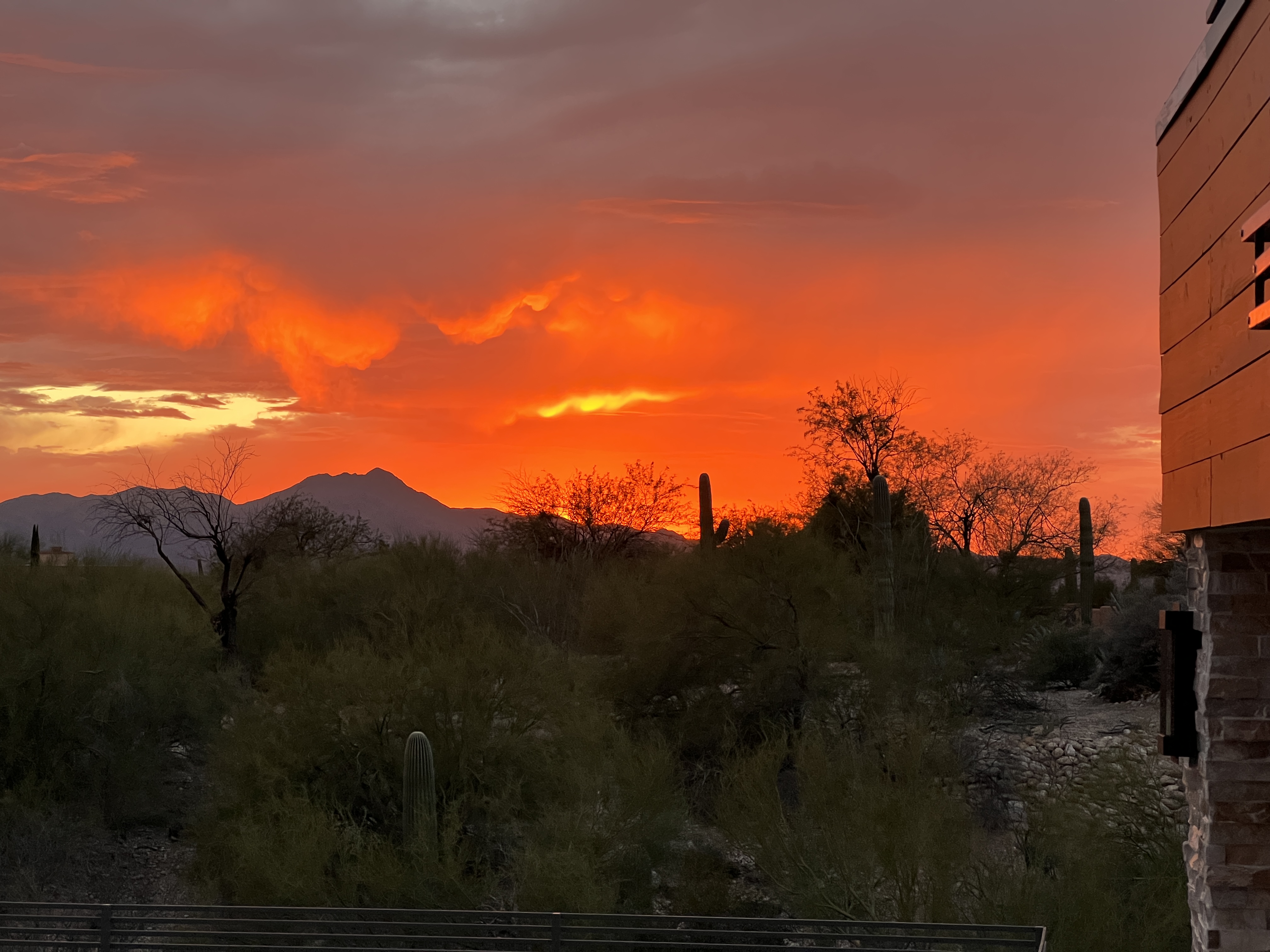 <a href="https://oraclefoothills.neighborhood.online/hoa/documents">Document Library</a> 50b21f1a-6f59-4aeb-876f-b1d46b908aaa.jpg