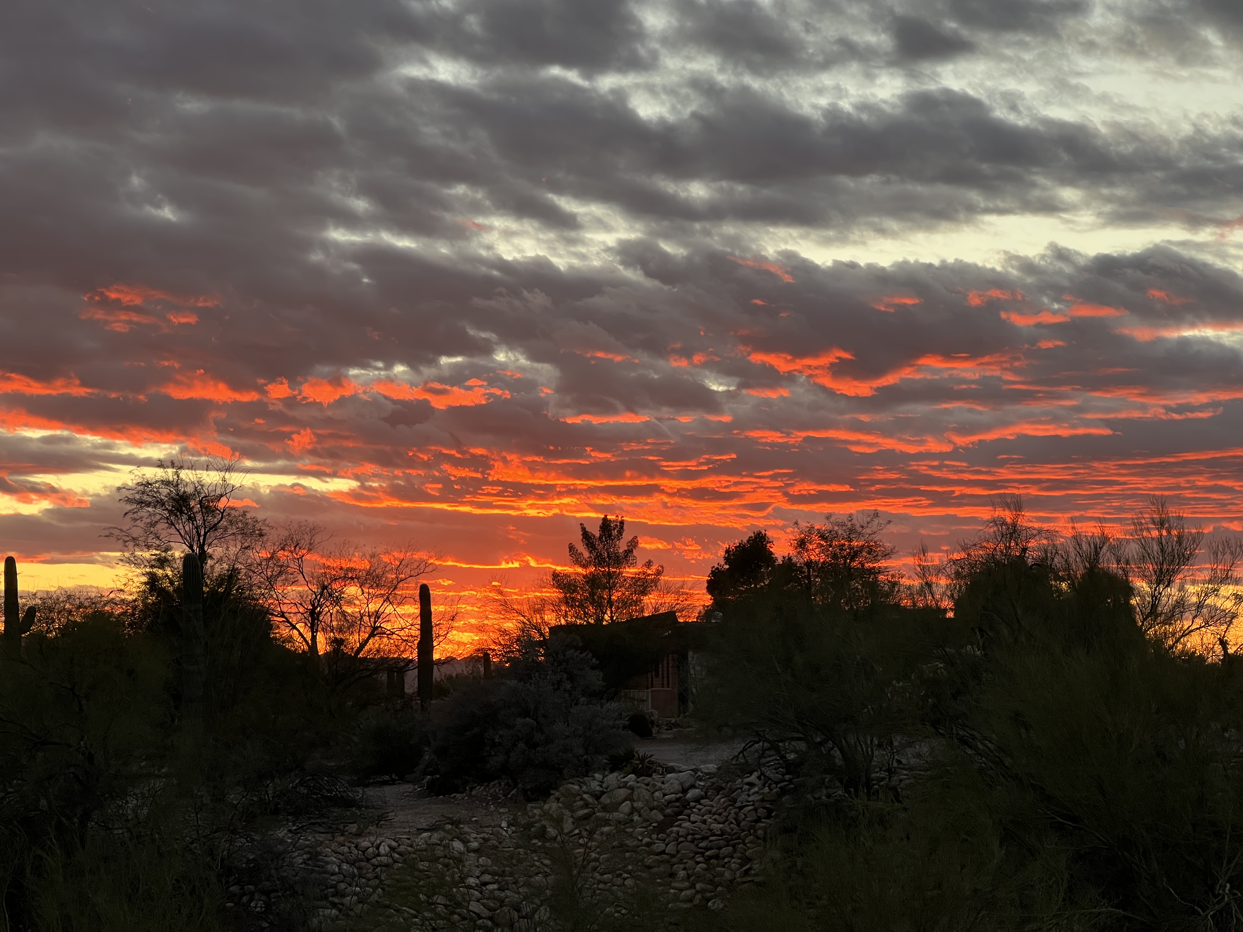 <a href="https://oraclefoothills.neighborhood.online/contact">Contact Us</a> 577dac83-ba7b-4dd7-a8b7-09563cfa70f1.jpg